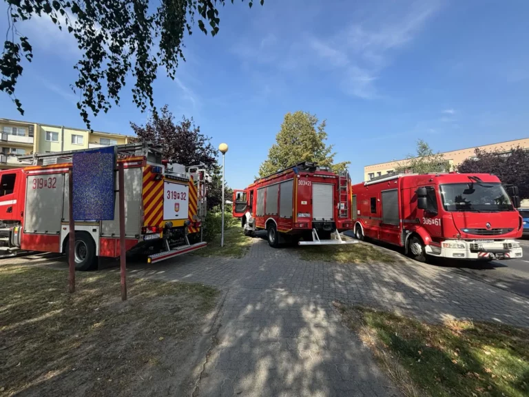 Tajemnicze znalezisko w swarzędzkiej piwnicy