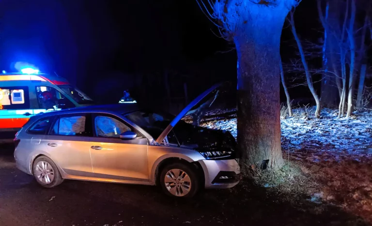 Wierzonka: osobówką w drzewo