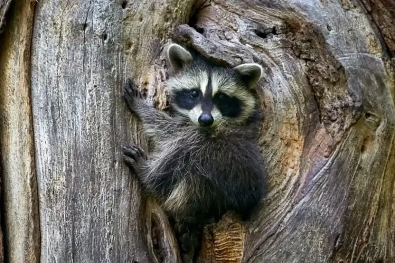Muzeum w Uzarzewie zaprasza na warsztaty dla seniorów!