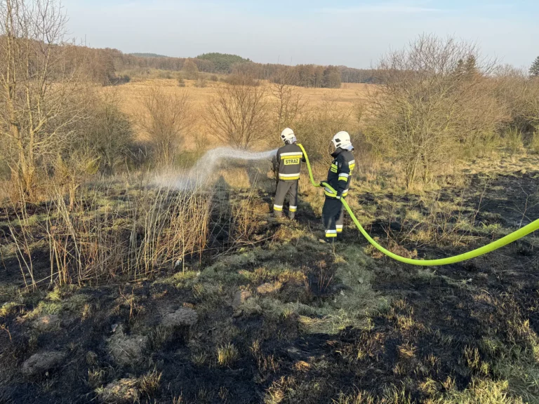 Płonęły trawy w Uzarzewie