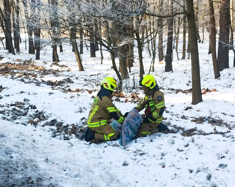 Uważajmy na dzikie zwierzęta!