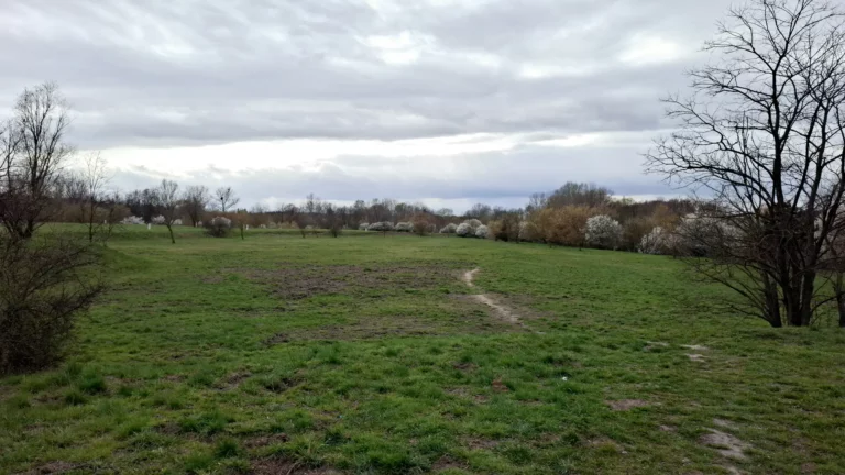 Swarzędz: będzie projekt „Central Parku” przy Poznańskiej!