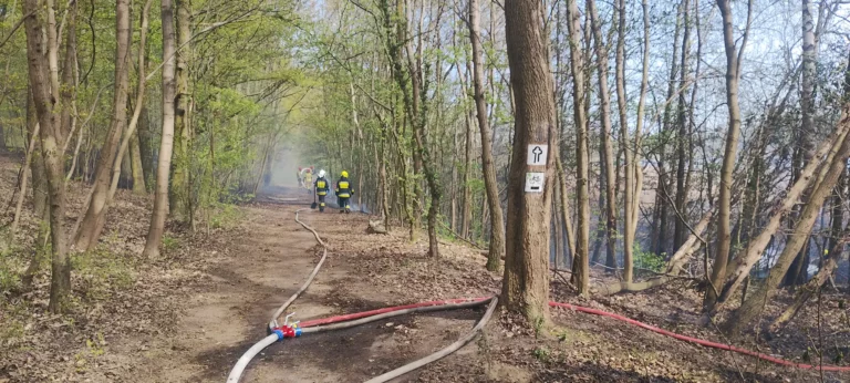 Ogień nad Jeziorem Swarzędzkim