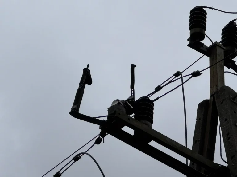 Wiewiórka nie przeżyła pożaru