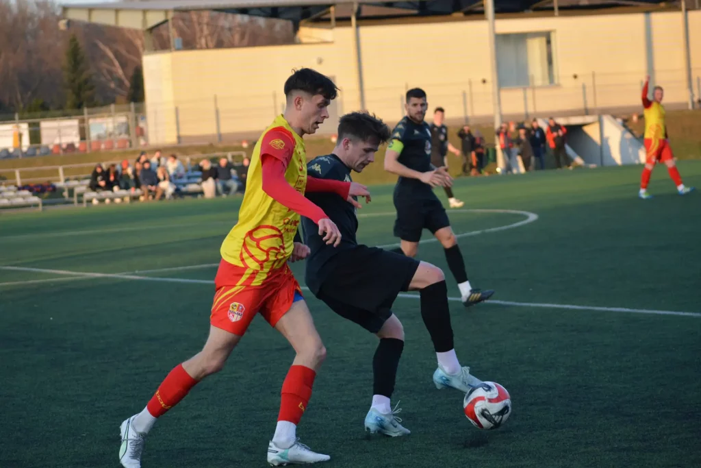 dominacja Meblorza 1 Tygodnik i Portal Swarzedzki