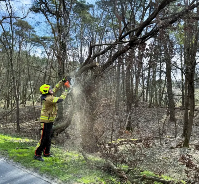 Akcja na drodze między Kobylnicą a Wierzonką