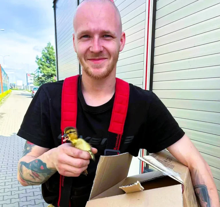 Swarzędz: strażacy uratowali sześć kaczuszek