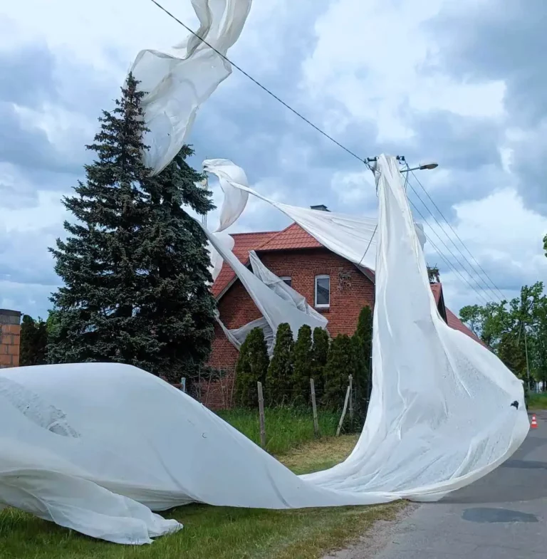 Nietypowa interwencja w Sarbinowie