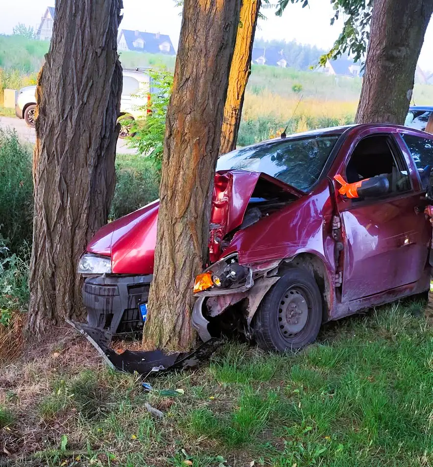 Auto na drzewie! 15 Auto na drzewie 2 Tygodnik i Portal Swarzedzki