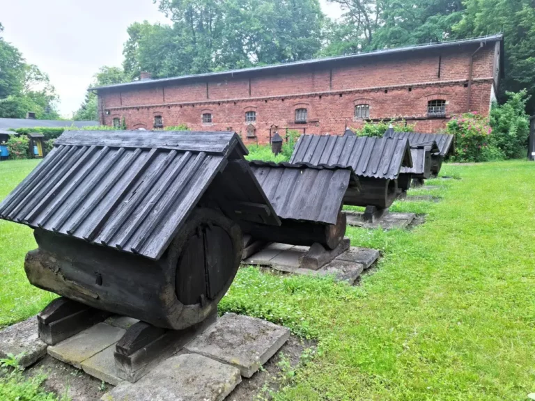 Miodowe lato ponownie zagości w swarzędzkim Skansenie !