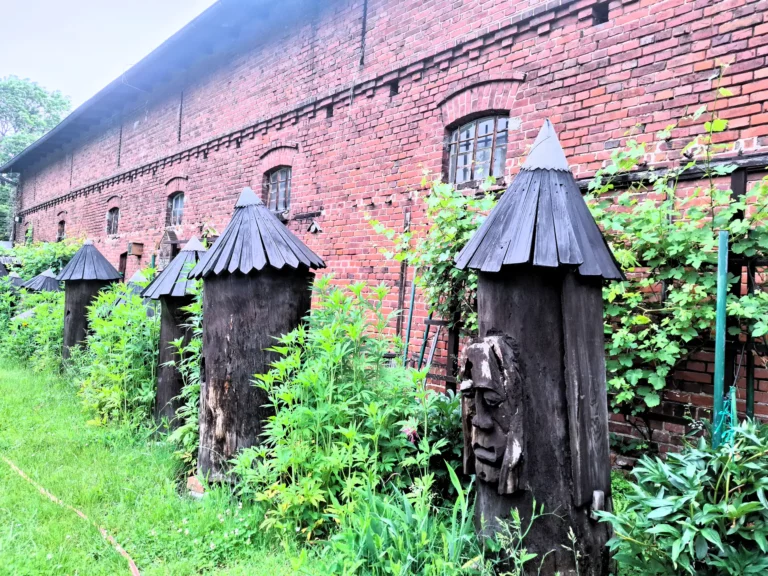 Miodowe lato w niedzielę w swarzędzkim Skansenie !