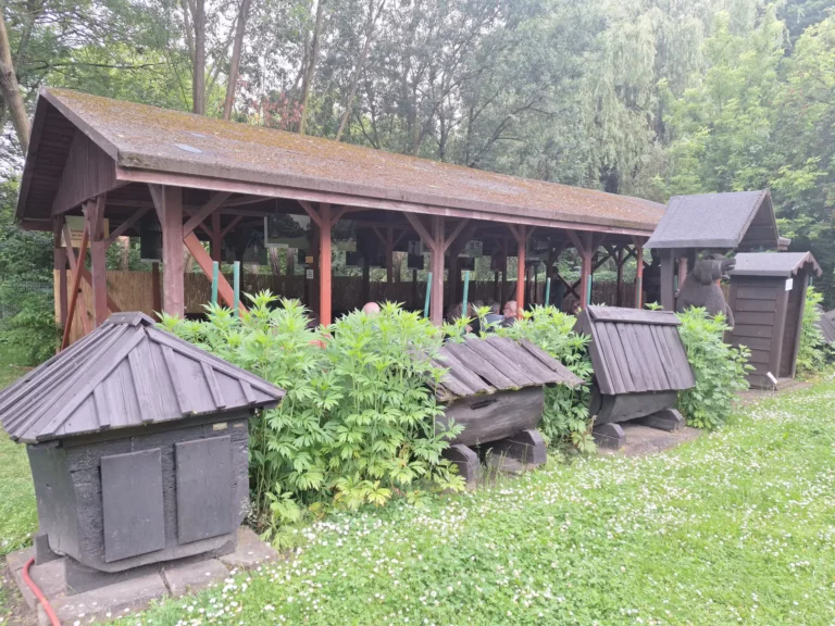 Skansen w Swarzędzu  zaprasza na plener malarski