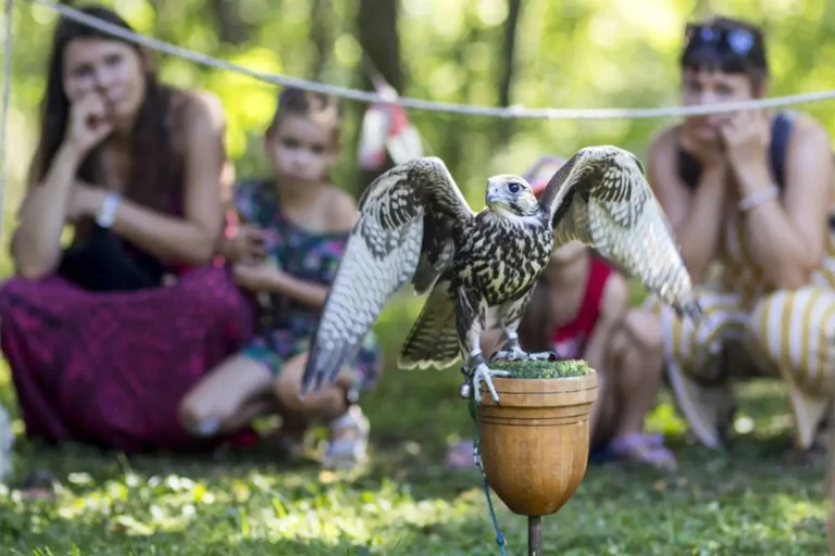 W Uzarzewie będzie „ptasia” impreza