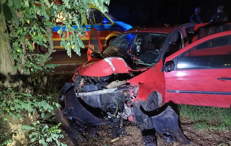 Jazda zakończona na drzewie