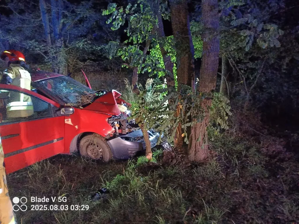 Jazda zakończona na drzewie 6 Jazda zakonczona na drzewie 2 Tygodnik i Portal Swarzedzki