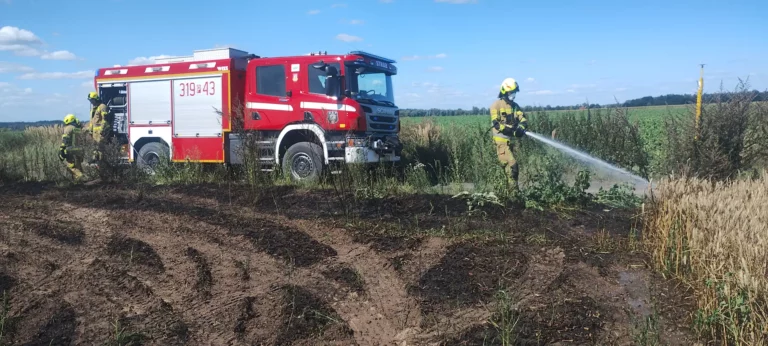 Zboże (znowu) w ogniu