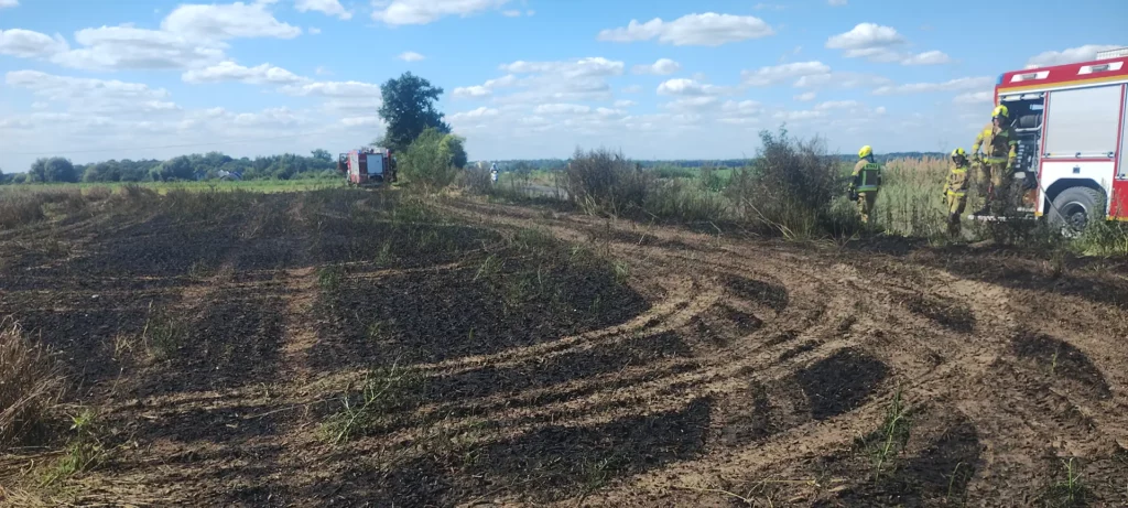 zboze 2 Tygodnik i Portal Swarzedzki