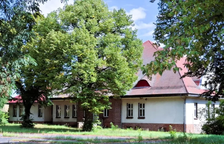 Co dalej z dworkiem w Paczkowie?