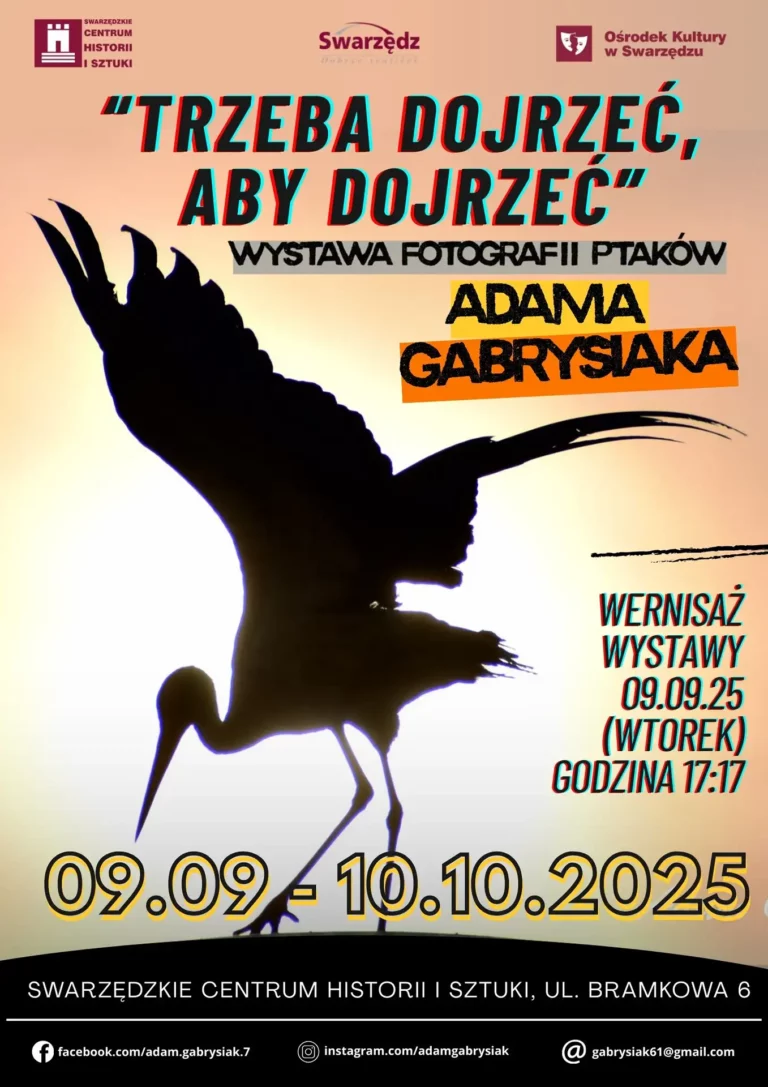 Ptactwo w obiektywie matematyka