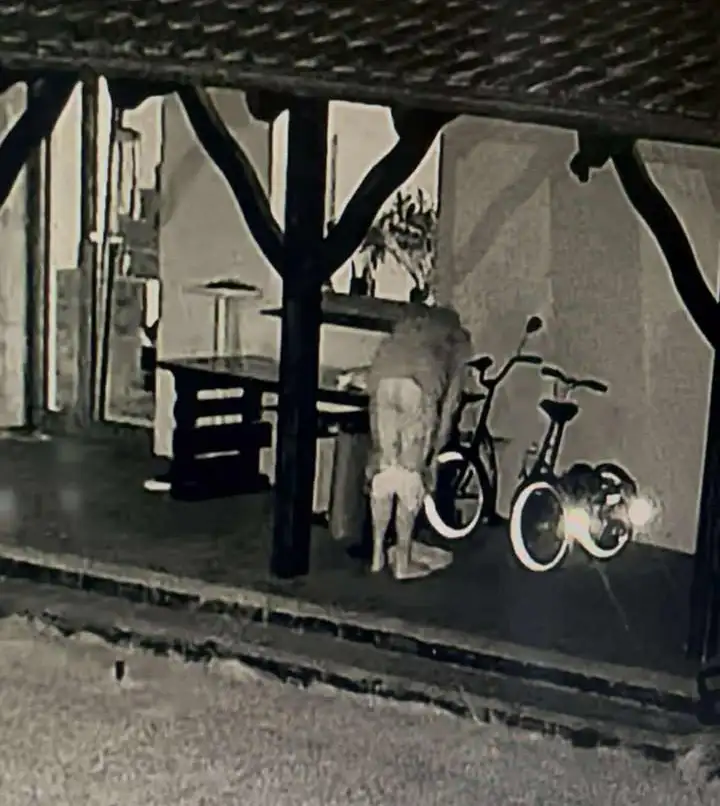 Szokujące sceny w Gruszczynie! 1 policja 2 Tygodnik i Portal Swarzedzki