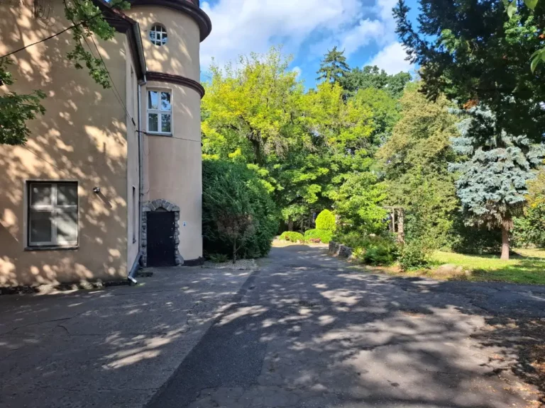 Skansen na stałe swarzędzki?