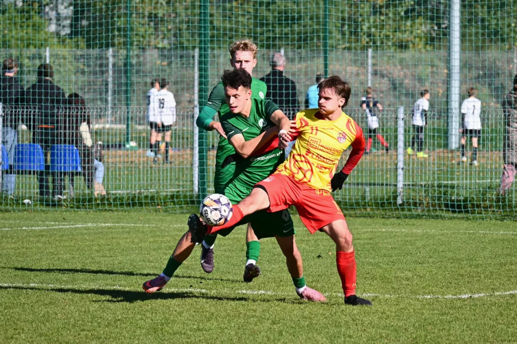 Meblorz 2 Tygodnik i Portal Swarzedzki 2