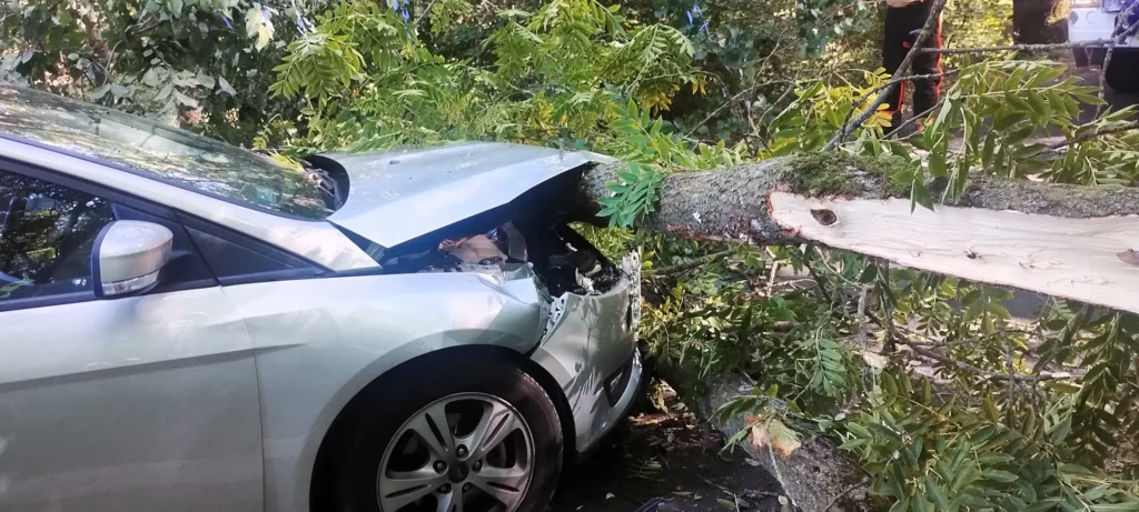 o wlos od tragedii fot 2 Tygodnik i Portal Swarzedzki