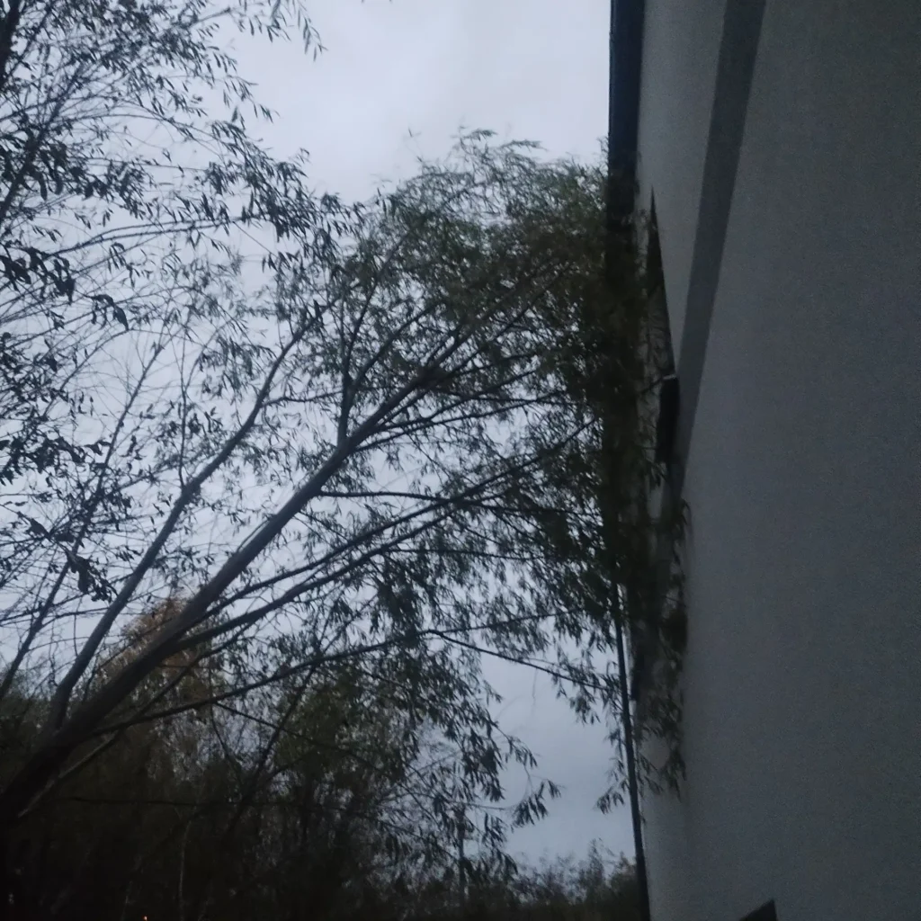 straz 2 Tygodnik i Portal Swarzedzki