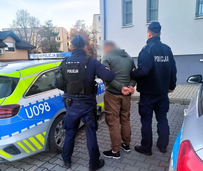 Zatrzymany w Swarzędzu obywatel Ukrainy zostanie deportowany