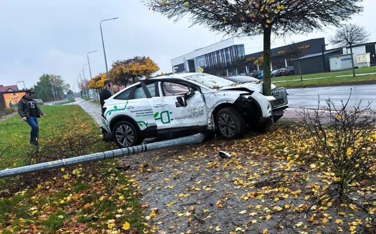 W Zalasewie auto wypadło z drogi