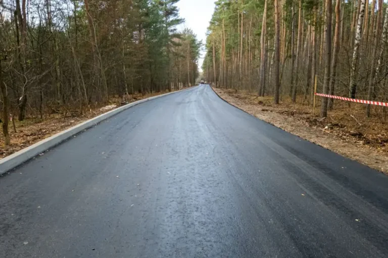 Nowym skrótem z Gruszczyna do Poznania?