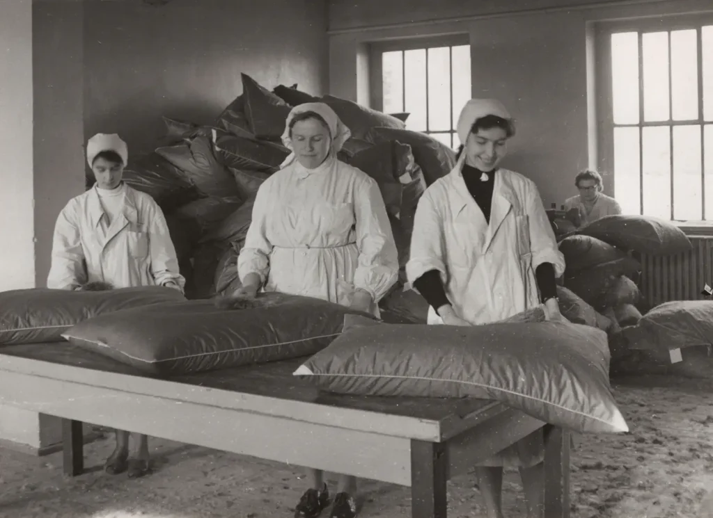 Piiorex 3 Tygodnik i Portal Swarzedzki