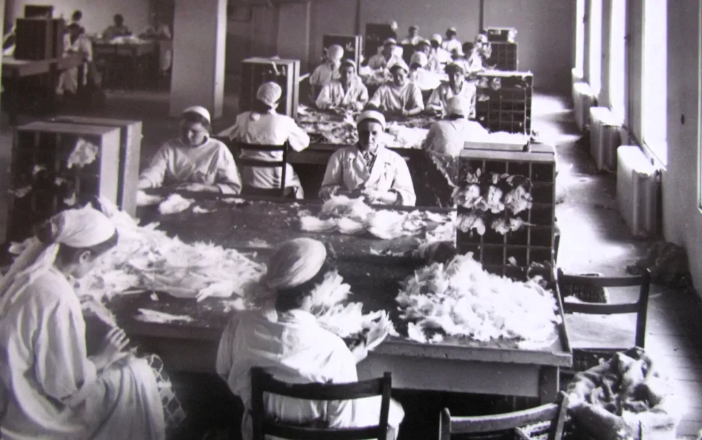 Piorex foto 1 Tygodnik i Portal Swarzedzki