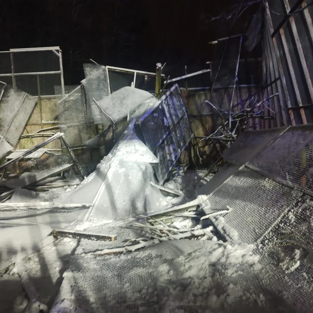 papugarnia 1 2 Tygodnik i Portal Swarzedzki