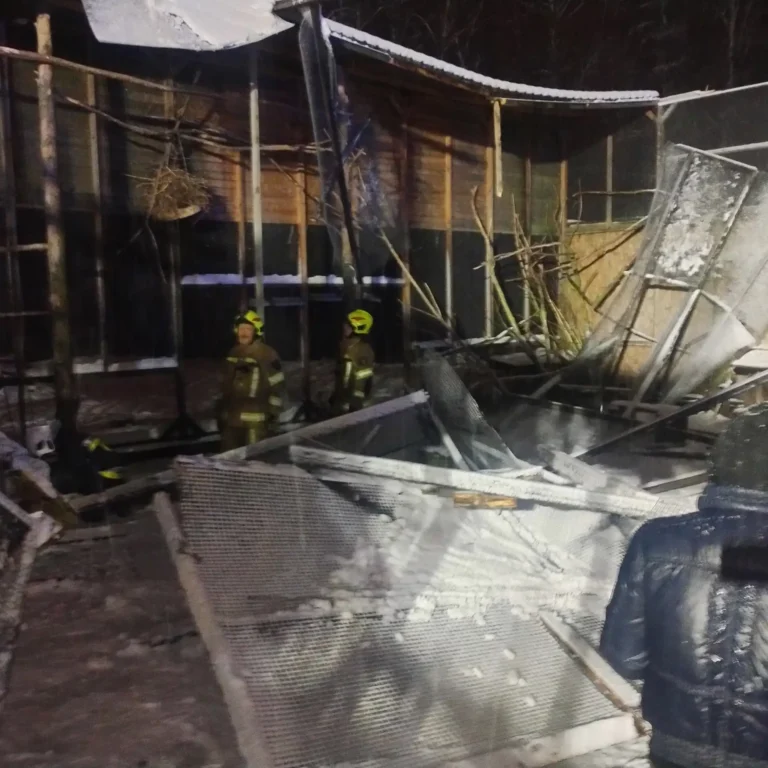 Zawalił się dach papugarni w Kobylnicy!