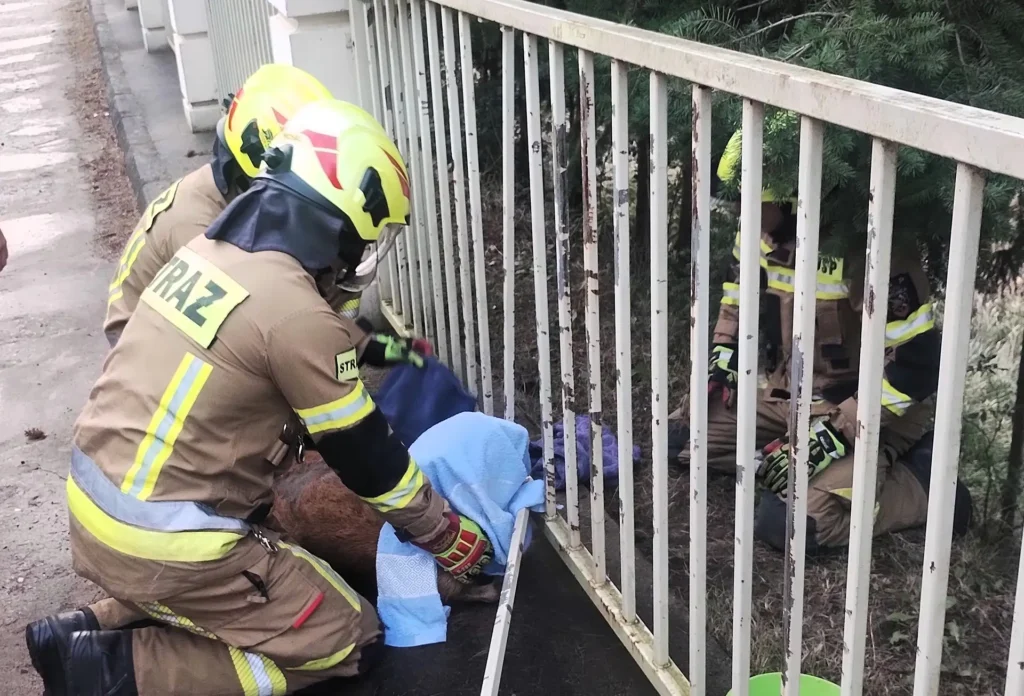 strazacy kobylnica 2 Tygodnik i Portal Swarzedzki