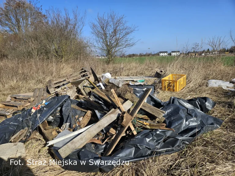 Dzikich wysypisk wciąż przybywa