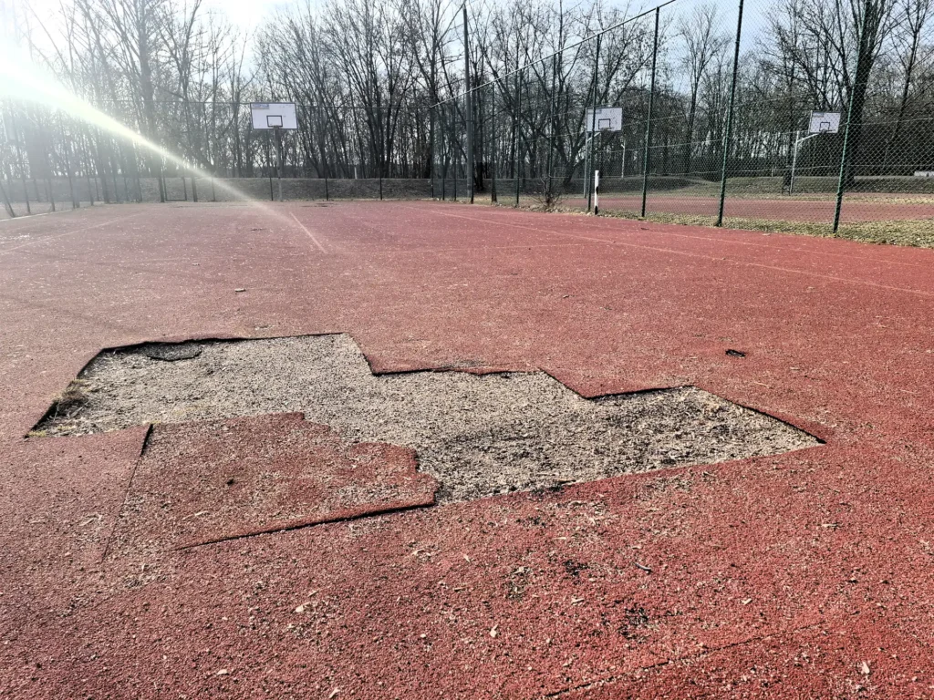 Foto2 Tygodnik i Portal Swarzedzki