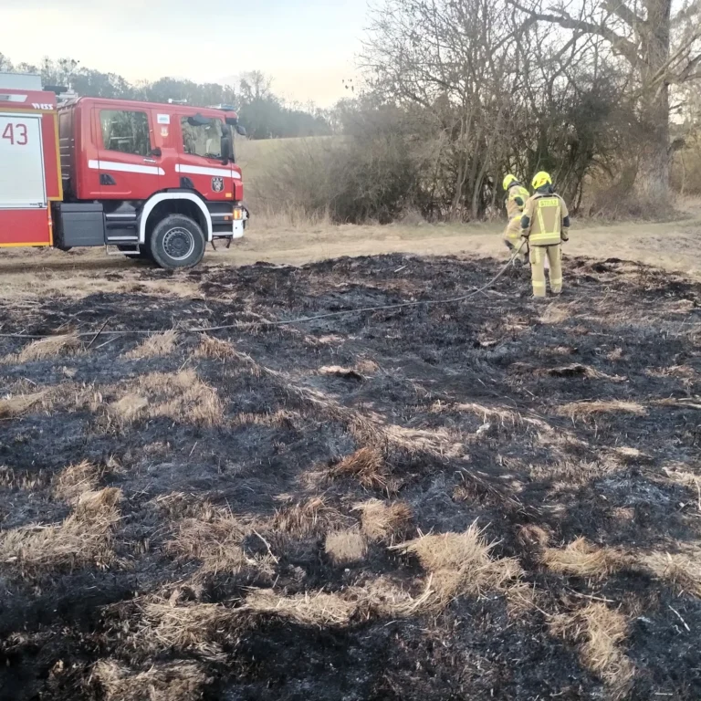 Trzy pożary traw jednego dnia
