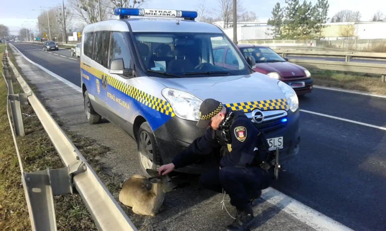 Ponad 78 tys. kilometrów służby