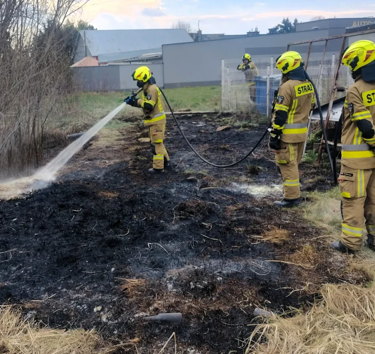 Ogień obok stacji paliw