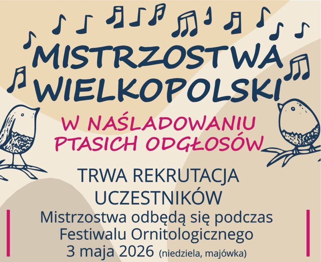 Wybiora mistrza treli foto