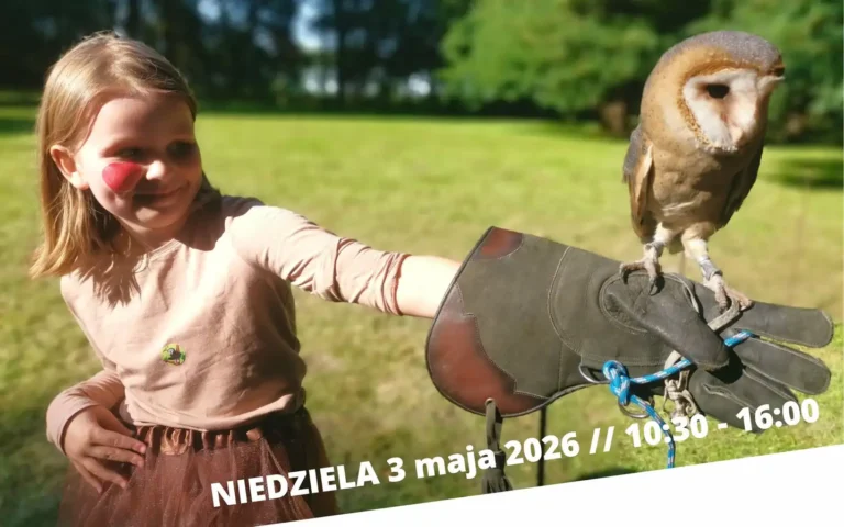 3 maja Festiwal w Uzarzewie!