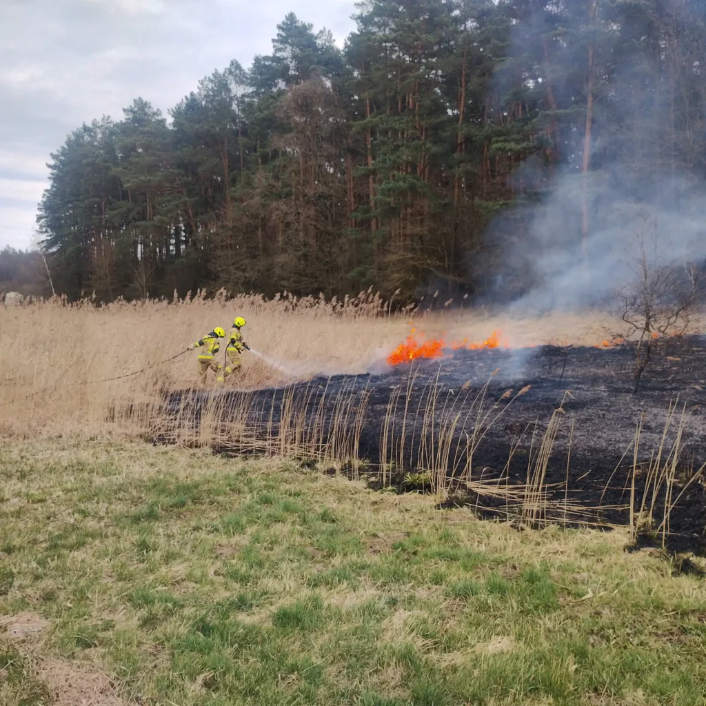 pozar 2 Tygodnik i Portal Swarzedzki 1