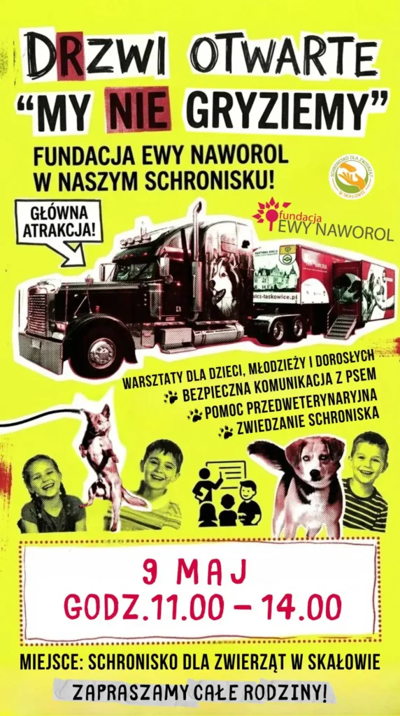 Drzwi otwarte w Schronisku foto 2 Tygodnik i Portal Swarzedzki