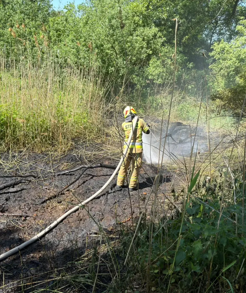 akcja 2 Tygodnik i Portal Swarzedzki