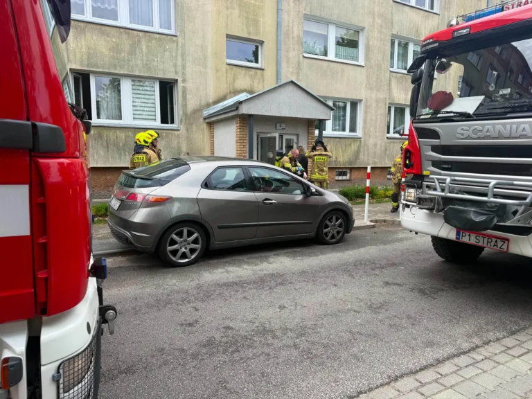 Paląca się potrawa zaalarmowała strażaków