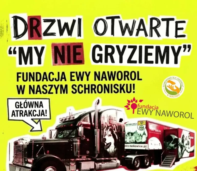 Dni otwarte w Schronisku w Skałowie