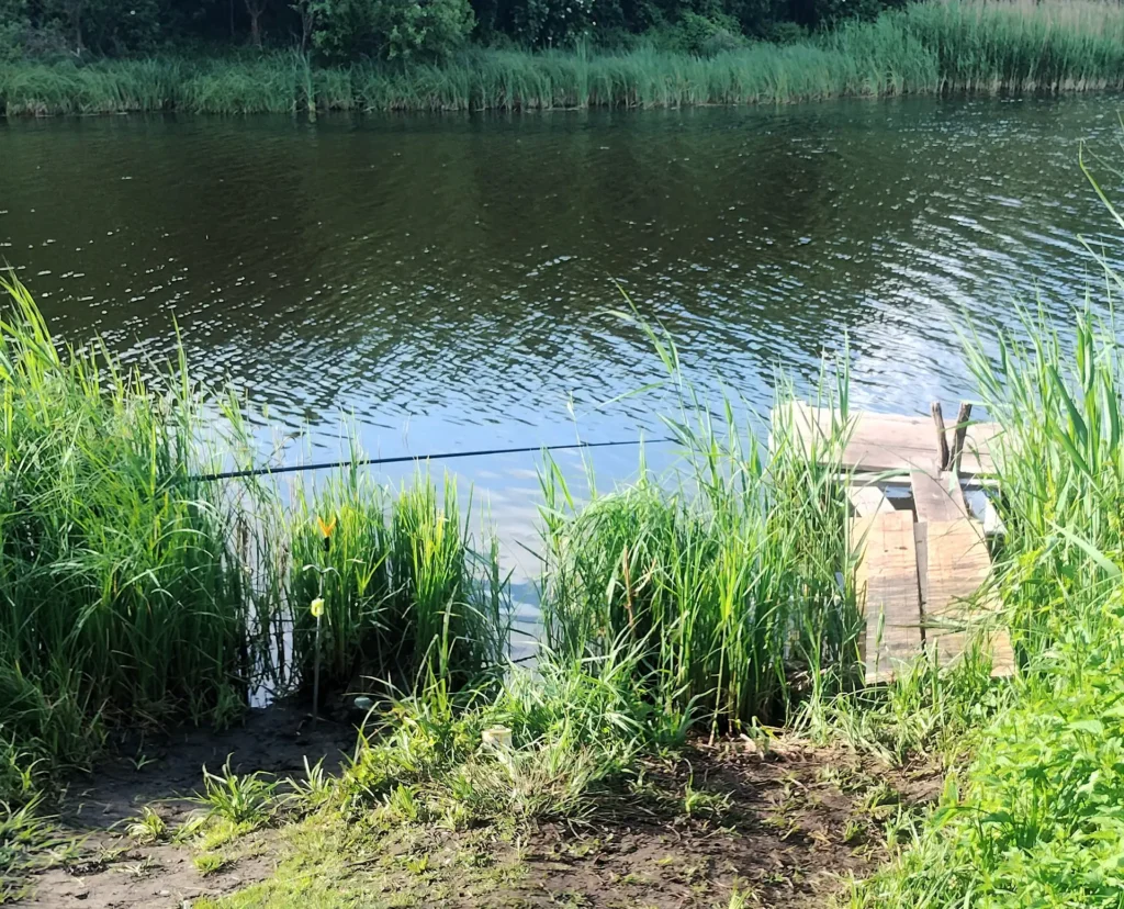 Wędkarz utonął w jednym ze stawów w Dolinie Cybiny 1 wedlkarz fto 2 Tygodnik i Portal Swarzedzki