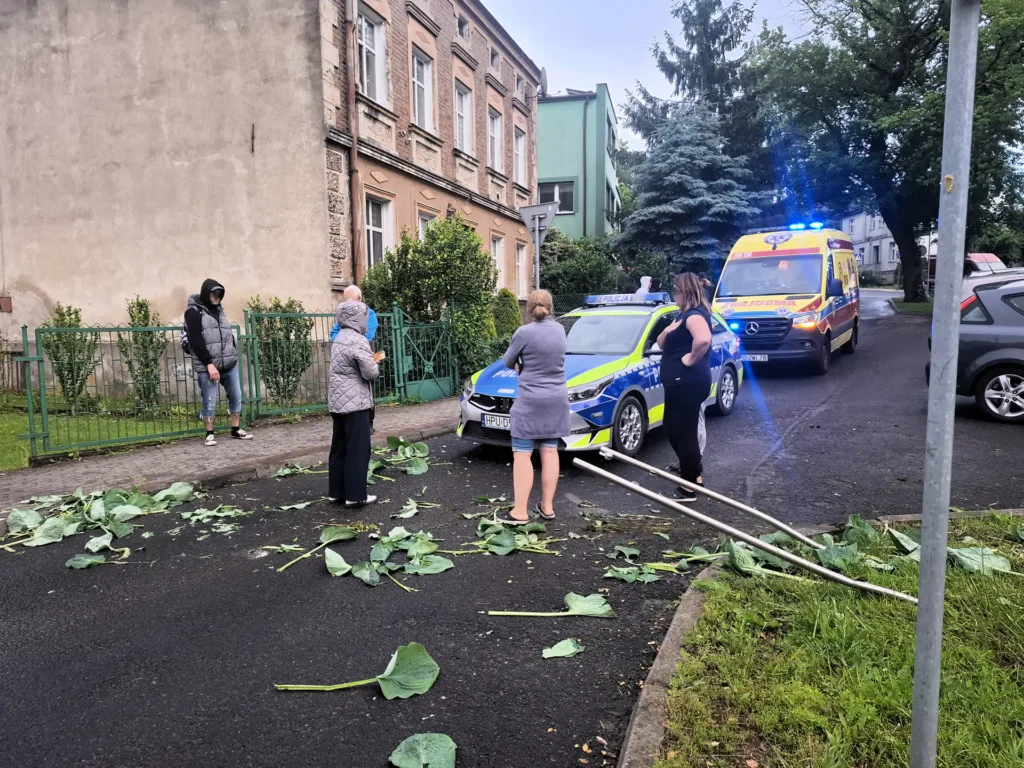 wypadek 2 Tygodnik i Portal Swarzedzki